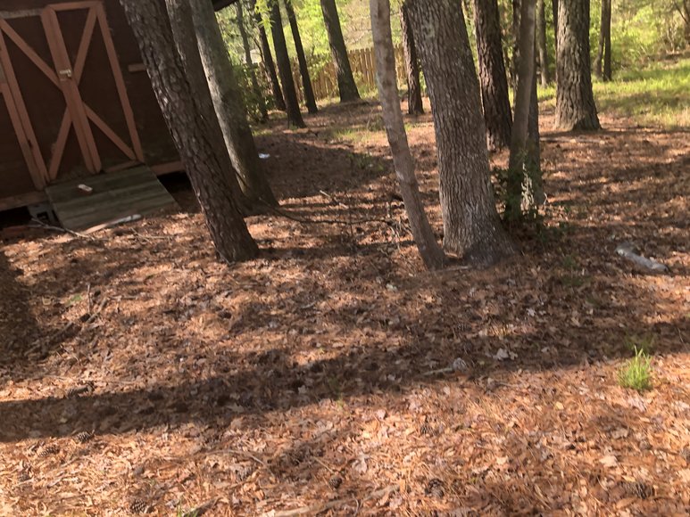 Image for 5 BR / 4 BA Single Family Home - 2,522 ± SF - Cedar Siding - Frederick Farms Subdivision - 4242 Frederick Farms Dr, Midlothian VA 23112