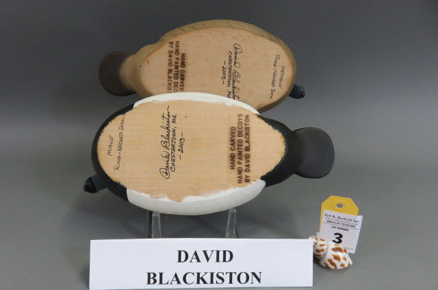 Image for Spring Sportsman's Auction 2020 Session 1