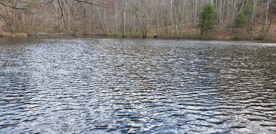 Image for Beautiful 185 Acres in Bedford County