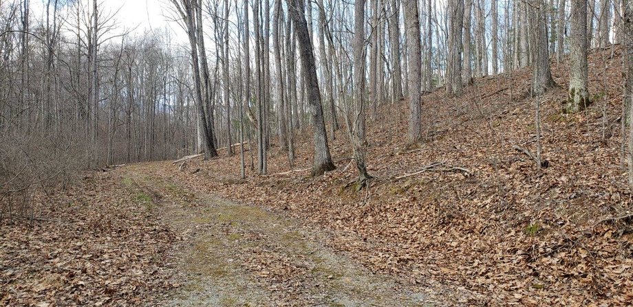Image for Beautiful 185 Acres in Bedford County
