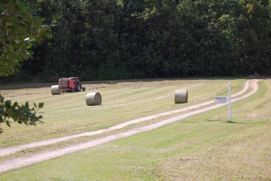 Accelerated Sale Airbnb in Powhatan, Virginia 5 BD/4BA Historic