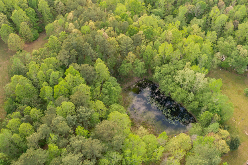 Image for 3 BR/2 BA Home w/Pond on 5 +/- Wooded Acres in Brunswick County, VA