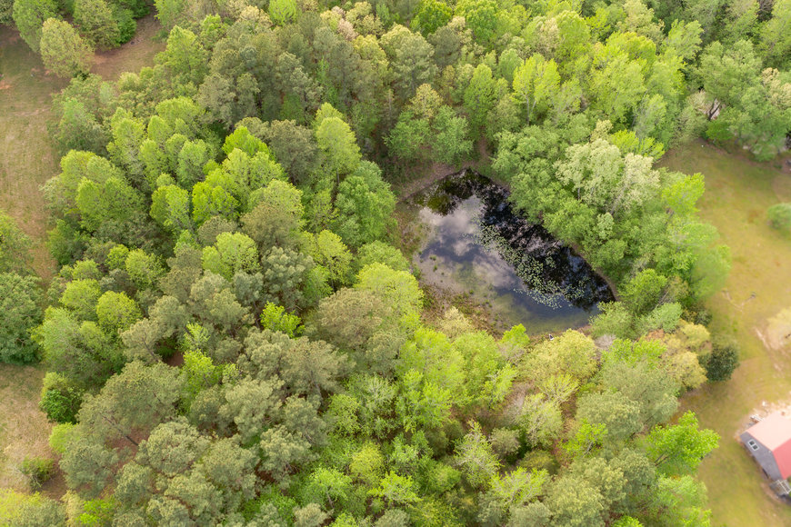 Image for 3 BR/2 BA Home w/Pond on 5 +/- Wooded Acres in Brunswick County, VA