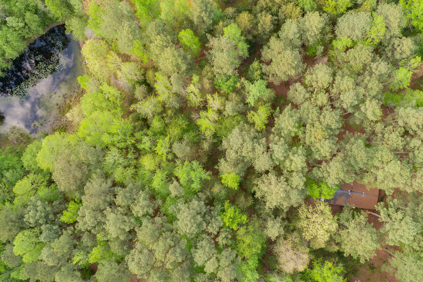 Image for 3 BR/2 BA Home w/Pond on 5 +/- Wooded Acres in Brunswick County, VA