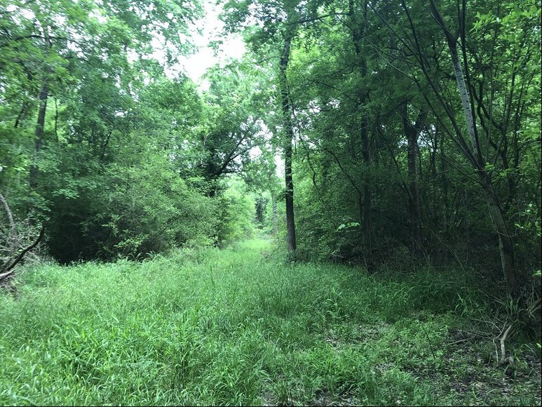 Image for 5665 Fischer Rd. Burton, TX 77835