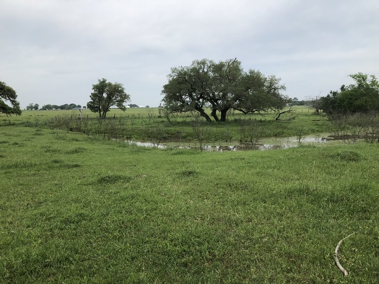 Image for 5665 Fischer Rd. Burton, TX 77835