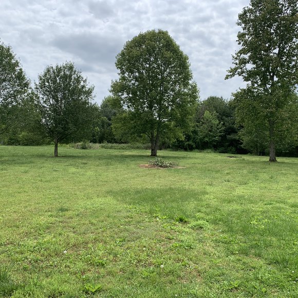 Image for 5812 Montaque Avenue, Rockvale