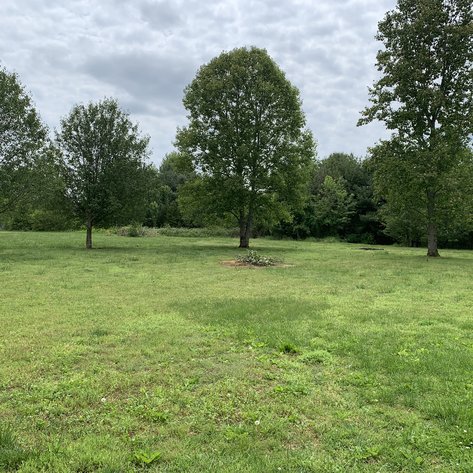 Image for 5812 Montaque Avenue, Rockvale