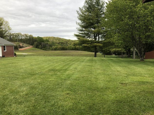 Image for Charming Blacksburg Brick Ranch