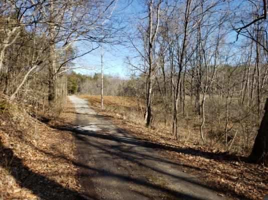 Image for 156 Acres (±) in 6 Tracts