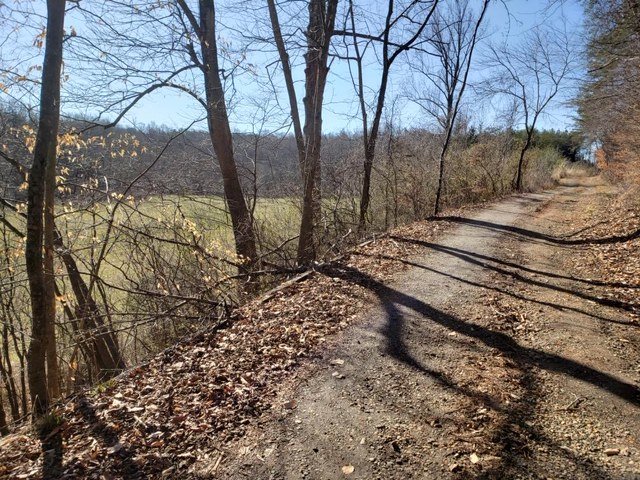 Image for 156 Acres (±) in 6 Tracts