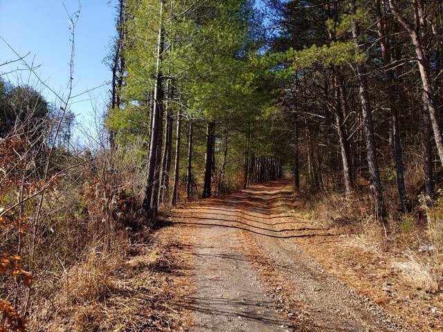 Image for 156 Acres (±) in 6 Tracts