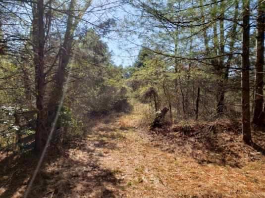 Image for 156 Acres (±) in 6 Tracts