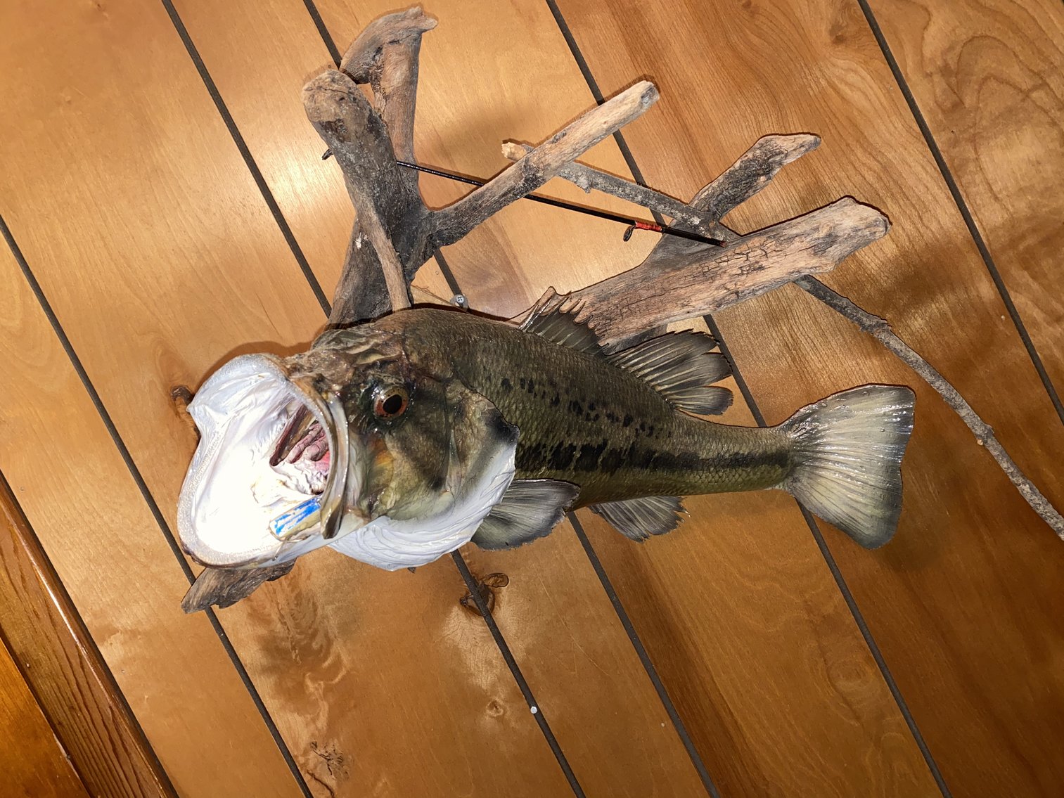 Image for 265 Bayview Dr., Cadiz Auction