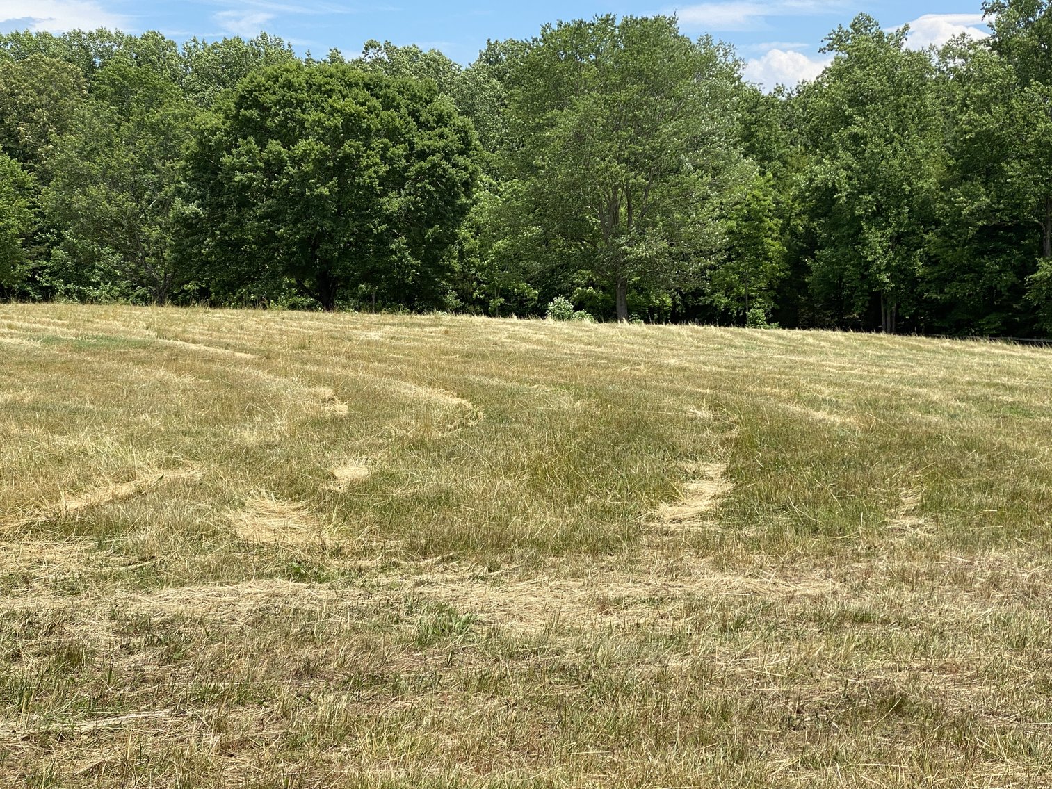 Image for 12 +/- Acre Parcel w/62'x70' Clear Span Building & Fencing in Orange County, VA