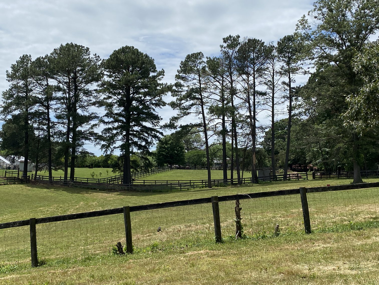 Image for 12 +/- Acre Parcel w/62'x70' Clear Span Building & Fencing in Orange County, VA