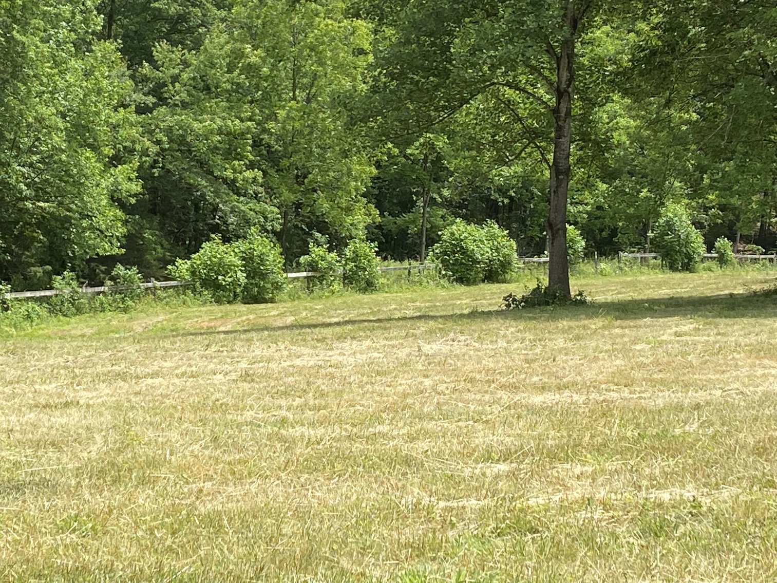 Image for 12 +/- Acre Parcel w/62'x70' Clear Span Building & Fencing in Orange County, VA