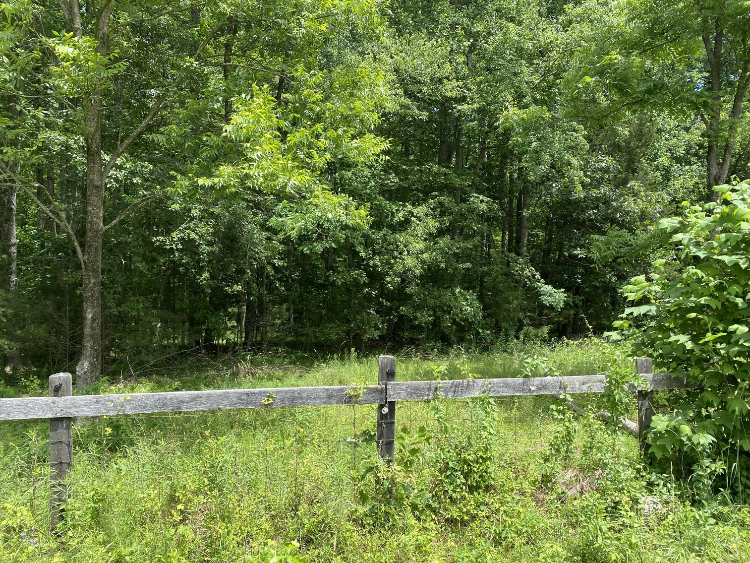 Image for 2 +/- Acre Wooded Building Lot in Orange, VA