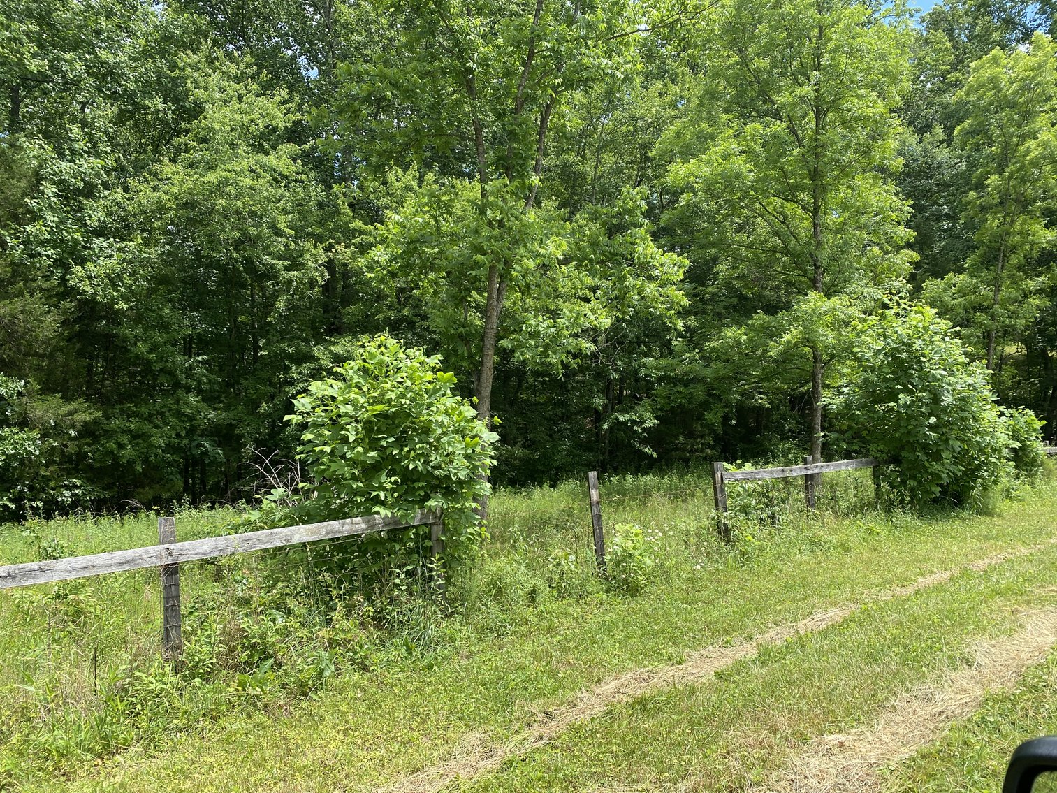 Image for 2 +/- Acre Wooded Building Lot in Orange, VA