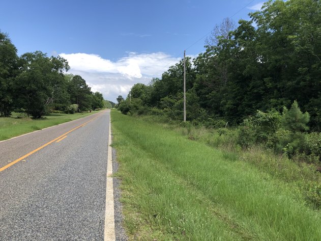 Image for LIVE AUCTION: July 9, 2020 - Pulaski Co., GA