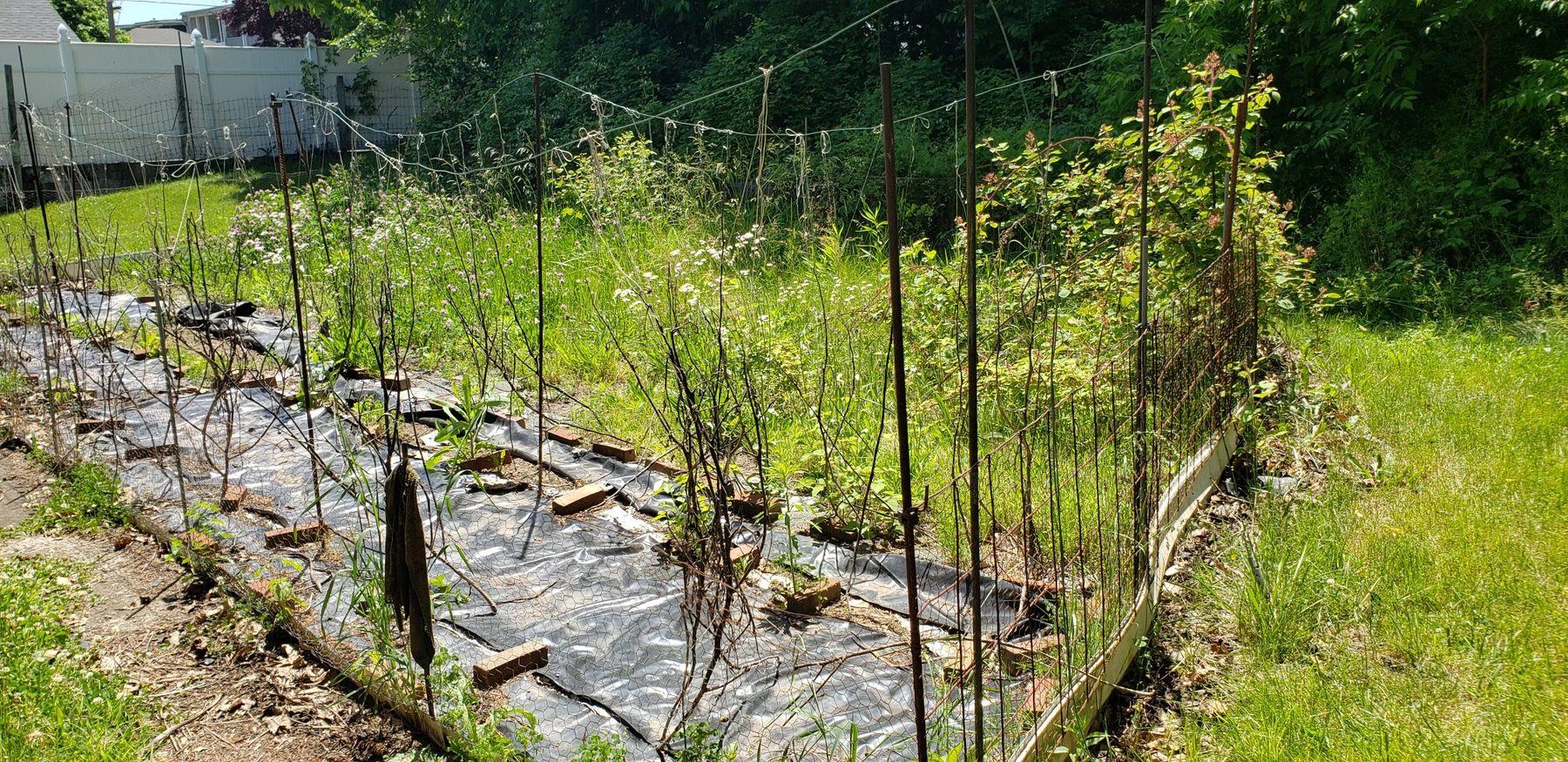 Image for Real Estate Private Showing - By Appointment Only | 1506 East 6th Street, Bethlehem, PA 18015