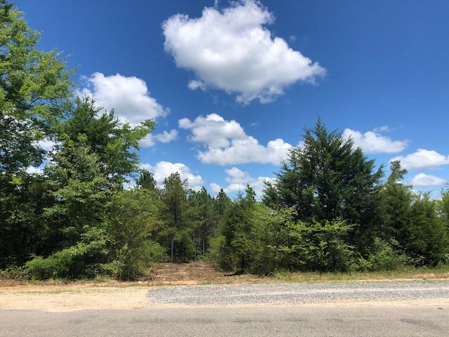 Image for 492± Acres at Inland Lake Springville, Alabama