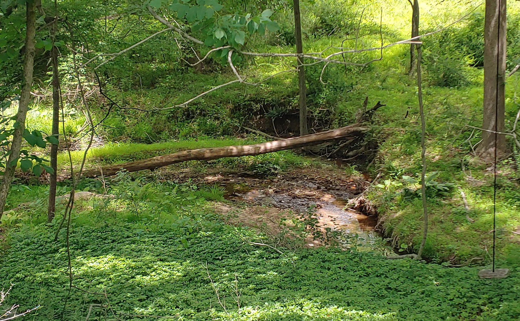 Image for 4 BR, 2 1/2 BATH ON 0.73+/- ACRE LOT