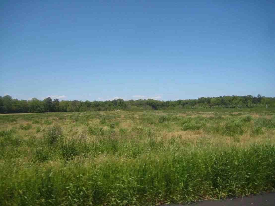 Image for Public Auction - Live and Online - 38.37 Acres Prime Farm Land on Virginia's Eastern Shore - Accomack County - Tract 2 of 2 Farm Land