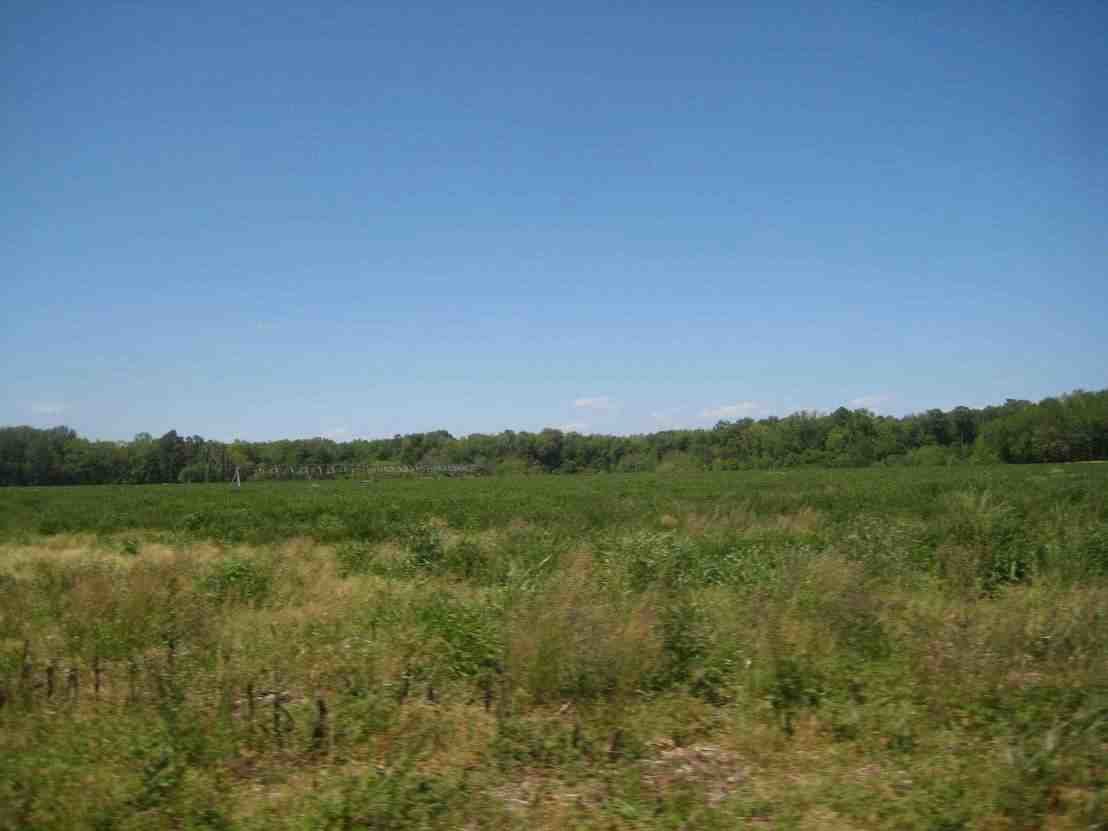 Image for Public Auction - Live and Online - 38.37 Acres Prime Farm Land on Virginia's Eastern Shore - Accomack County - Tract 2 of 2 Farm Land