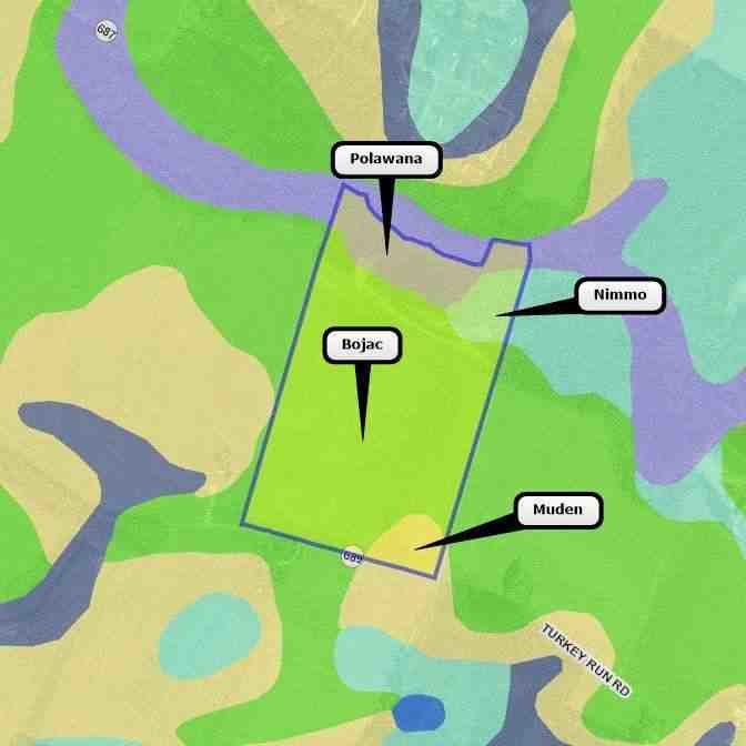 Image for Jul 14 @  1:00PM EDT - Jul 14 @  1:30PM EDT - Public Auction - Live and online - City Of Bloxom, VA 23308 - Located At Turkey Run RD & Langford Highway - Tract 1 And Tract 2 Of Farm Land - 47.50 & 38.37 Acres