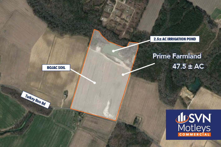 Image for Jul 14 @  1:00PM EDT - Jul 14 @  1:30PM EDT - Public Auction - Live and online - City Of Bloxom, VA 23308 - Located At Turkey Run RD & Langford Highway - Tract 1 And Tract 2 Of Farm Land - 47.50 & 38.37 Acres