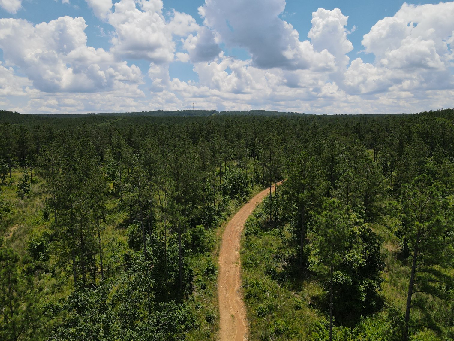 Image for 492± Acres at Inland Lake Springville, Alabama