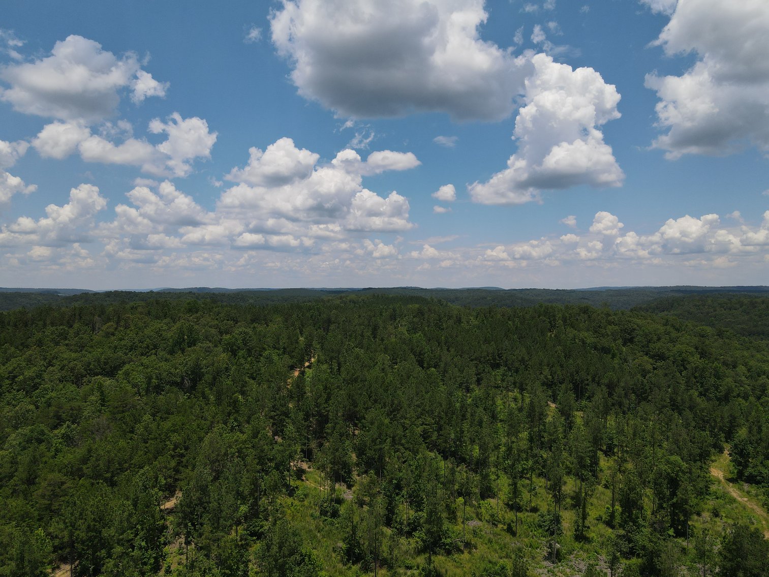 Image for 492± Acres at Inland Lake Springville, Alabama