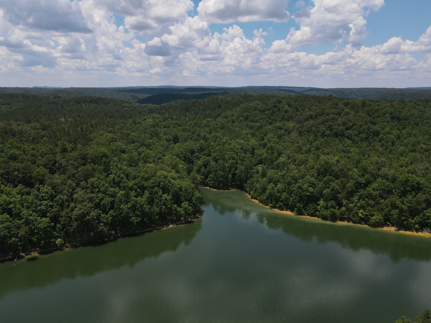 Image for 492± Acres at Inland Lake Springville, Alabama