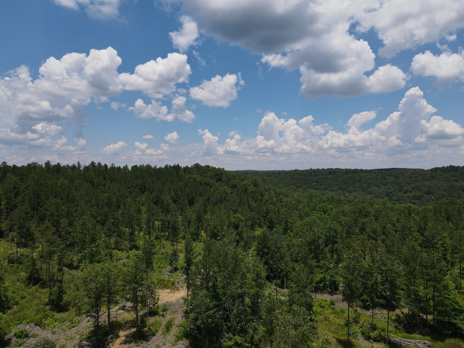 Image for 492± Acres at Inland Lake Springville, Alabama