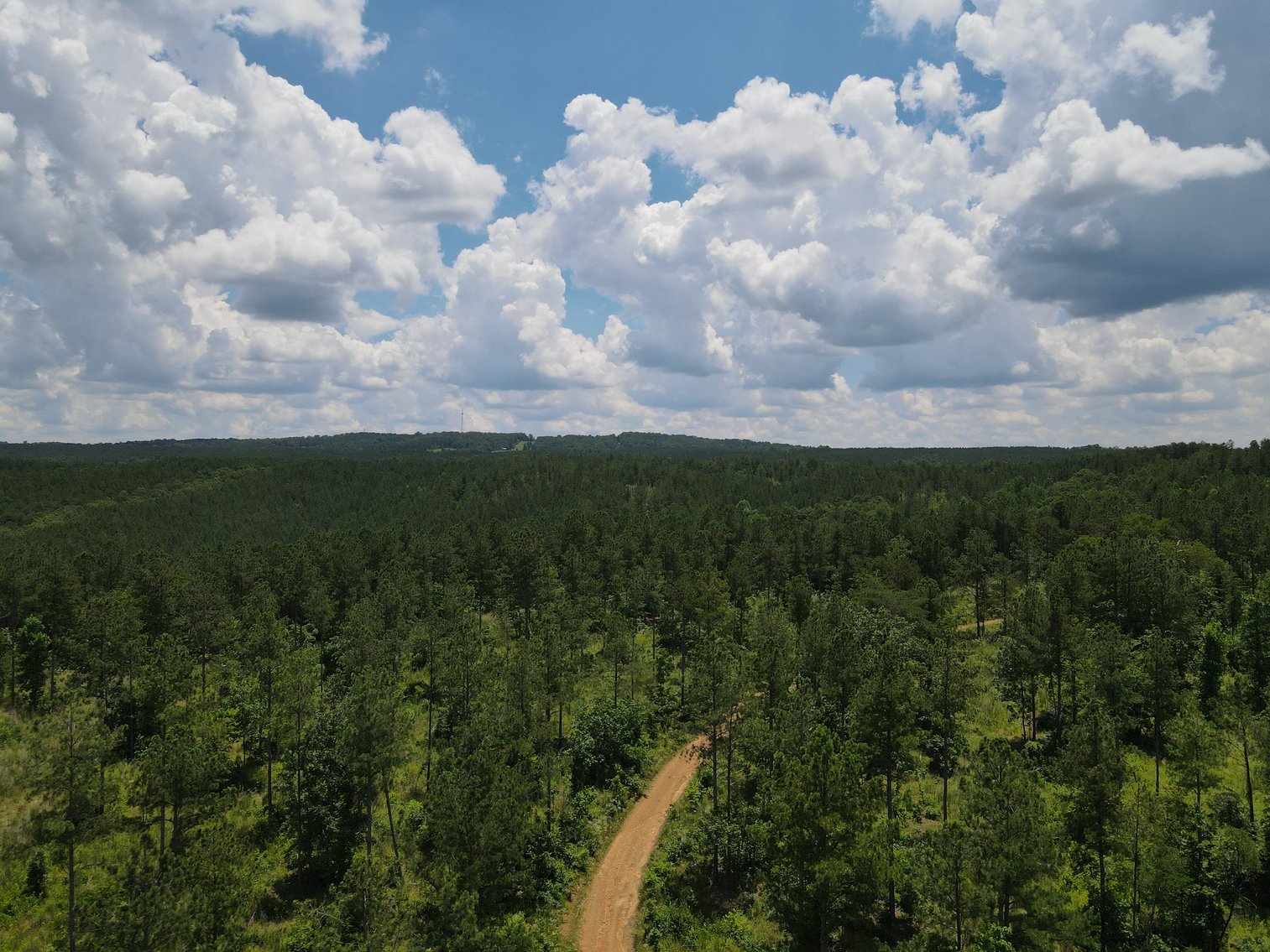 Image for 492± Acres at Inland Lake Springville, Alabama