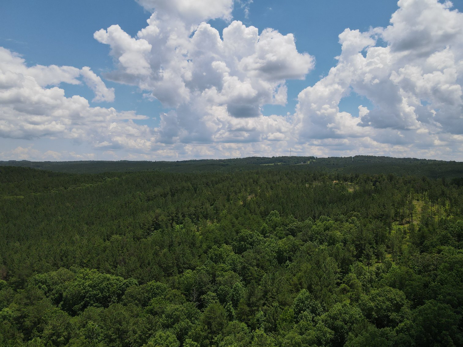 Image for 492± Acres at Inland Lake Springville, Alabama