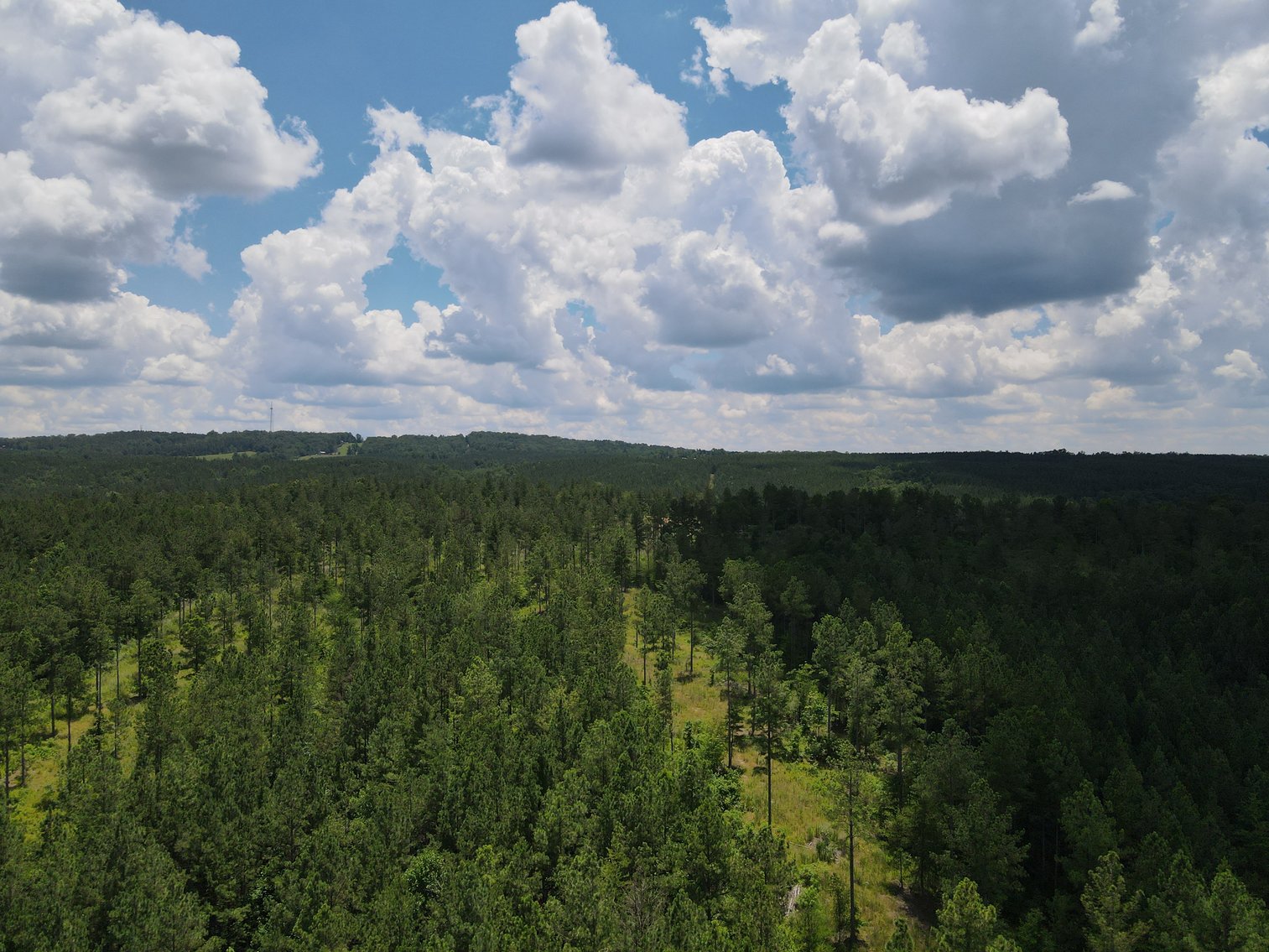 Image for 492± Acres at Inland Lake Springville, Alabama