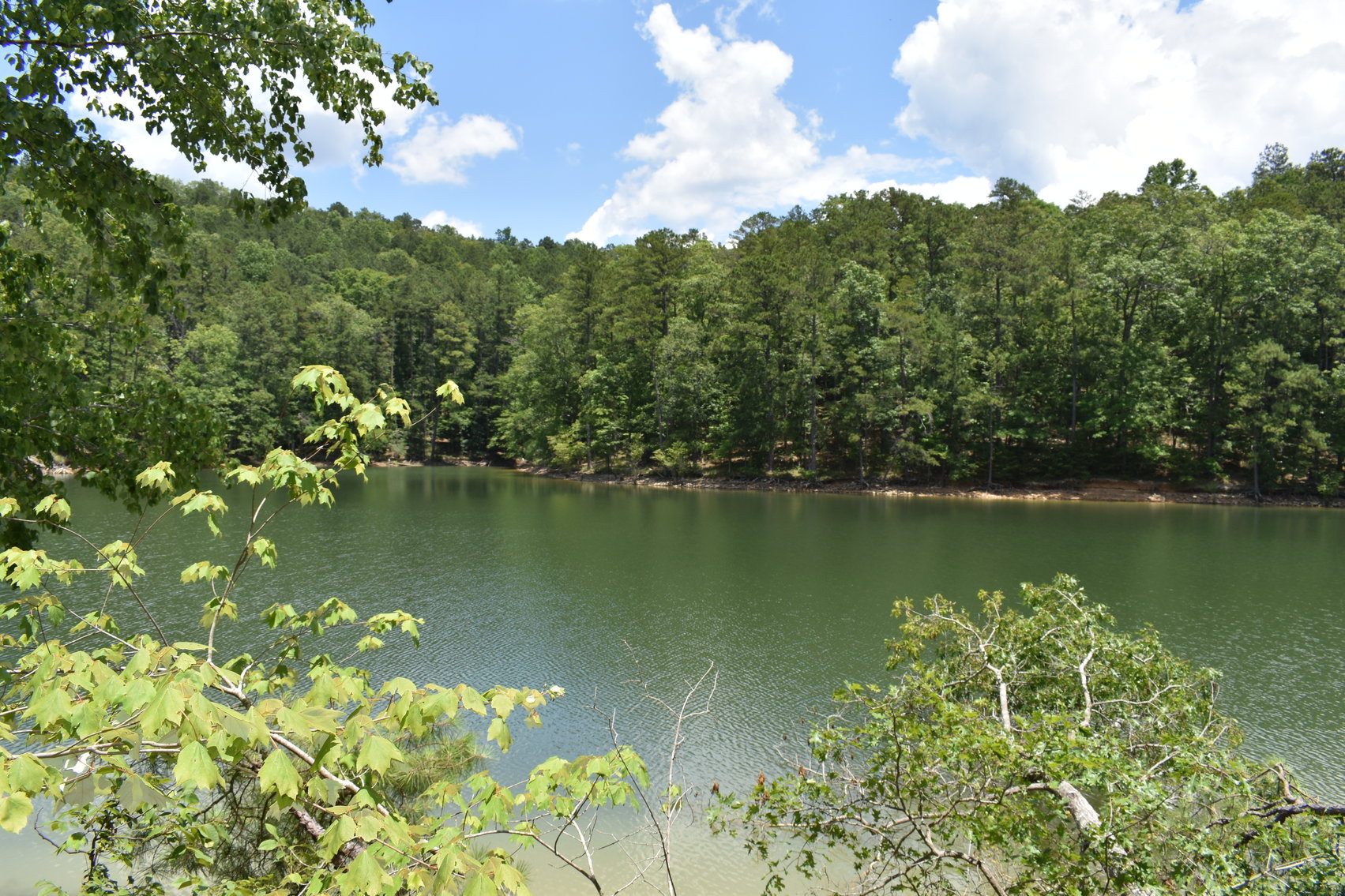 Image for 492± Acres at Inland Lake Springville, Alabama