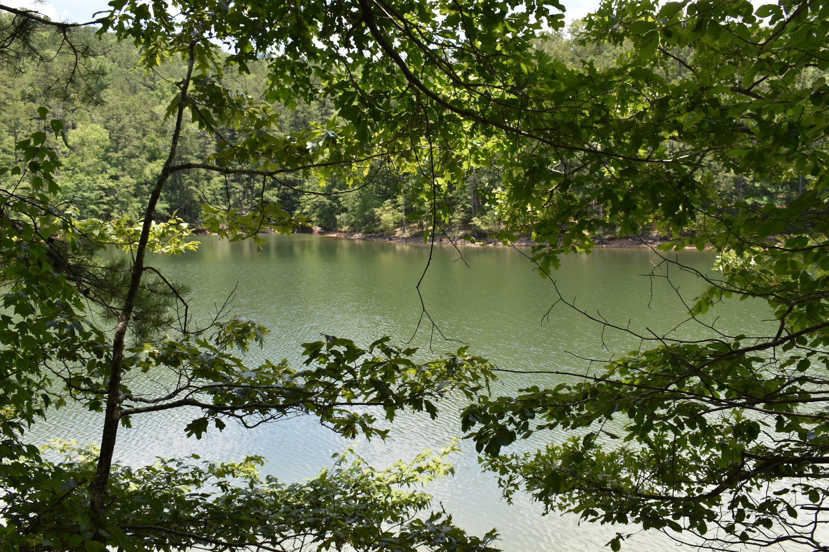Image for 492± Acres at Inland Lake Springville, Alabama