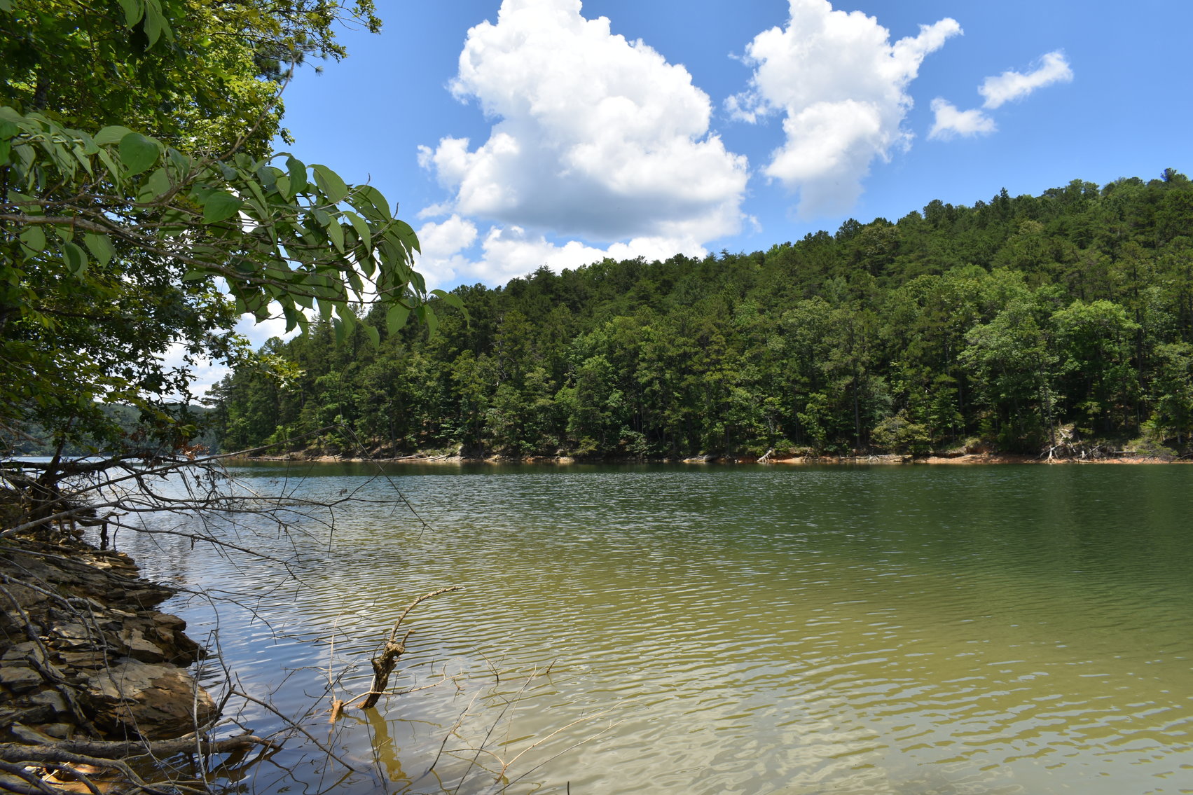 Image for 492± Acres at Inland Lake Springville, Alabama