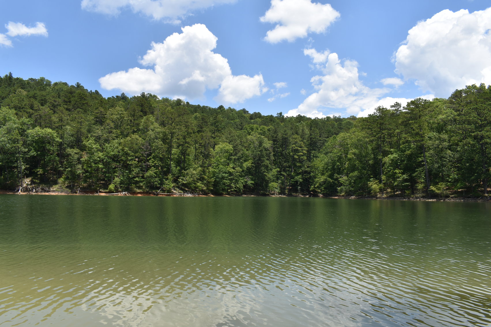 Image for 492± Acres at Inland Lake Springville, Alabama