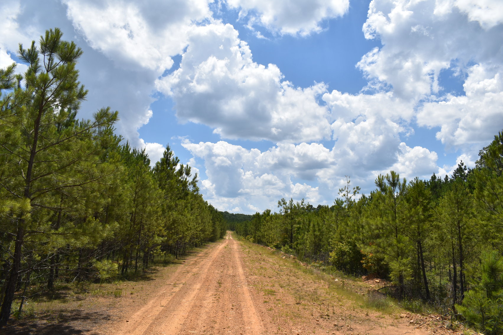Image for 492± Acres at Inland Lake Springville, Alabama
