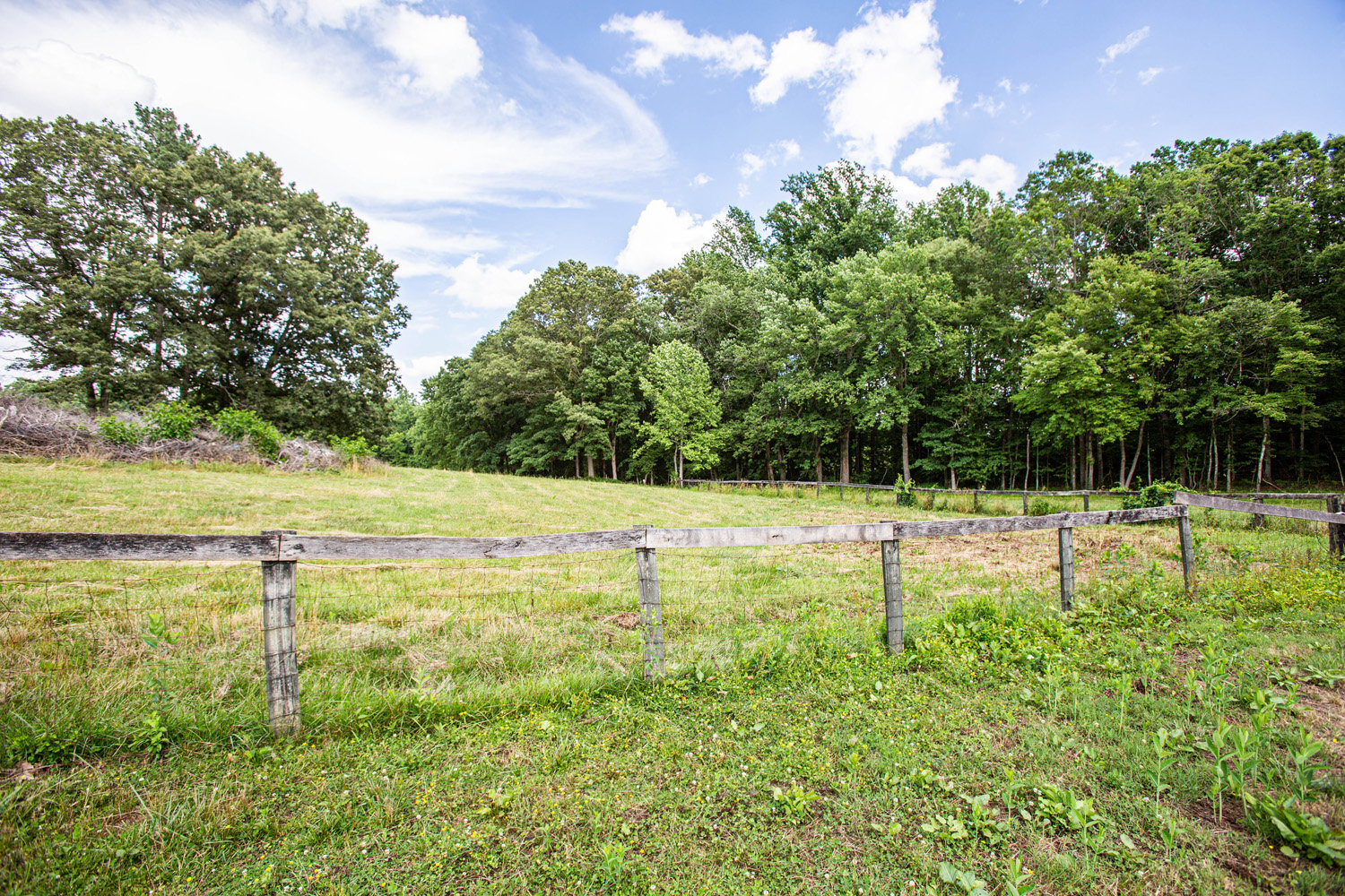 Image for 3 BR/2.5 BA Home w/13 Stall Barn, Outbuildings & Greenhouse on 5.47 +/- Acres in Orange County, VA