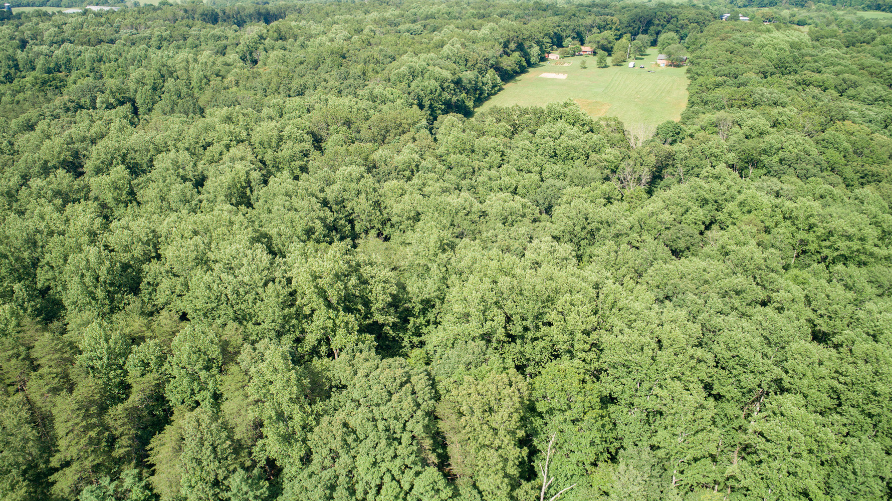 Image for 2 +/- Acre Wooded Building Lot in Orange, VA