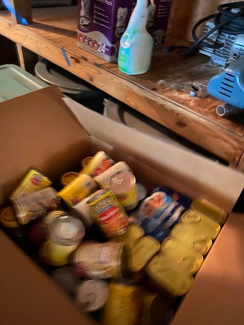 Image for 1467 Georgetowne Drive - House and Contents