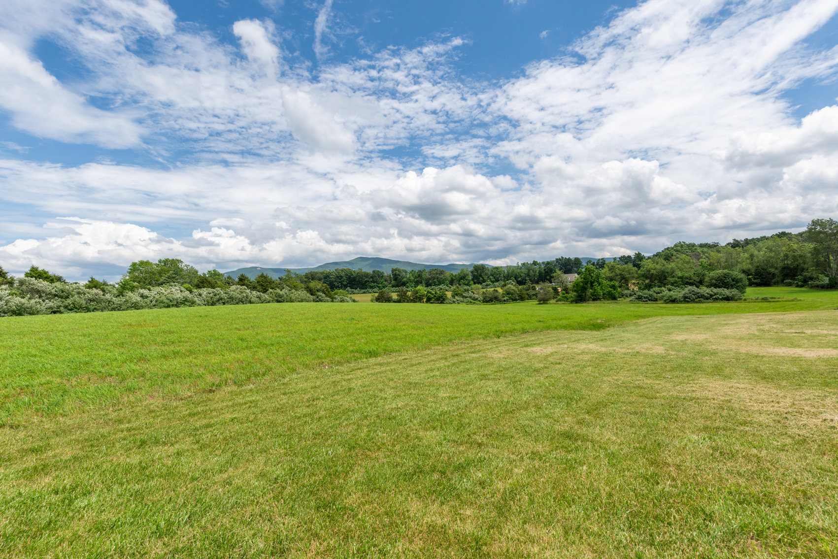 Image for Custom 3 BR/3 BA Home on 14.5 +/- Acres w/Amazing Blue Ridge Mountain Views--Augusta County, VA