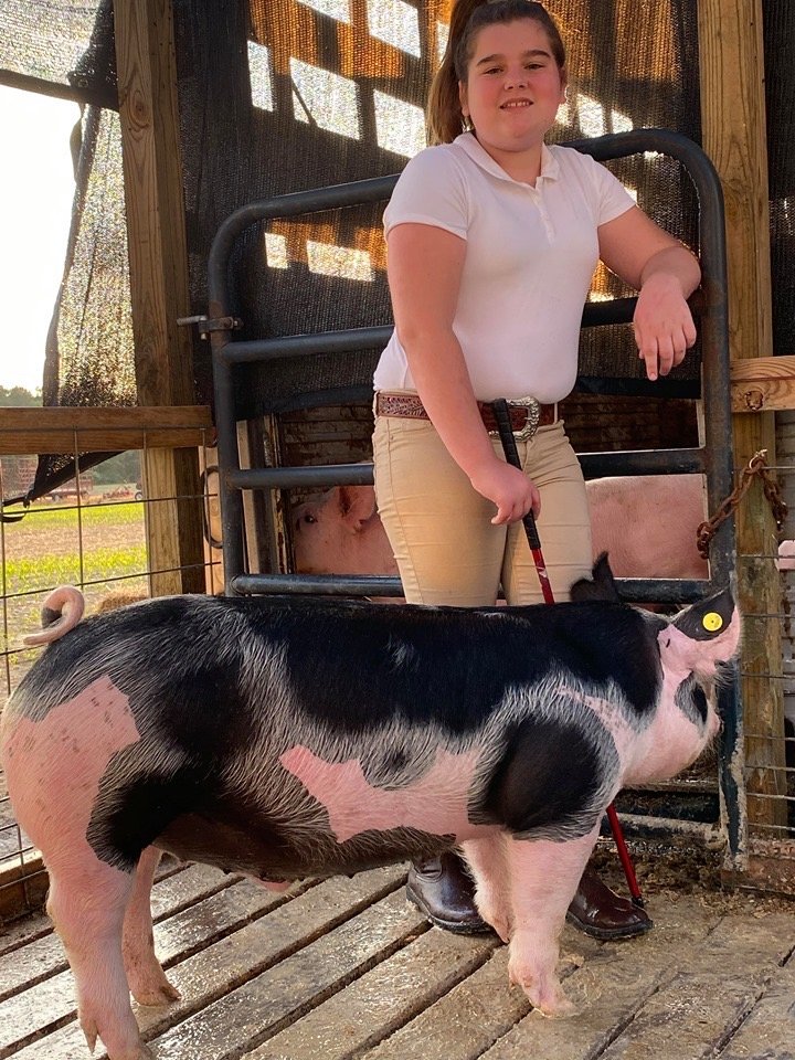 Image for TALBOT COUNTY LIVESTOCK AUCTION