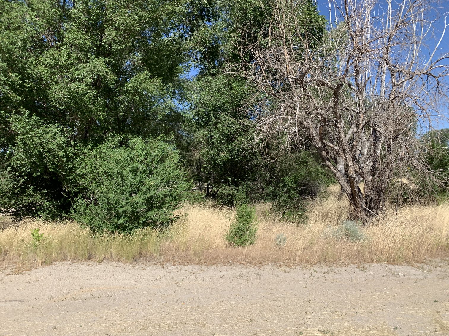 Image for #20-002F Utah Department of Transportation (UDOT)