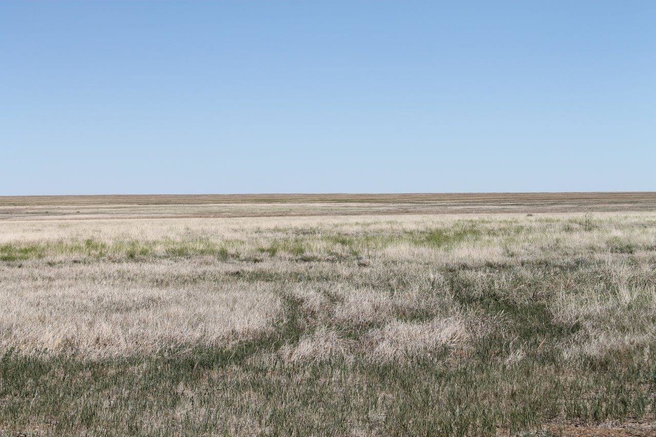 Image for KIOWA COUNTY, CO - CRP (C4054)